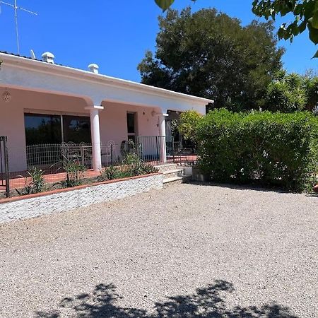 Beautiful Private Villa With Pool, Boliqueime, Loule Extérieur photo
