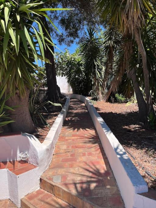 Beautiful Private Villa With Pool, Boliqueime, Loule Extérieur photo