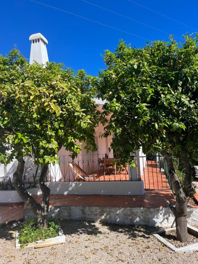 Beautiful Private Villa With Pool, Boliqueime, Loule Extérieur photo